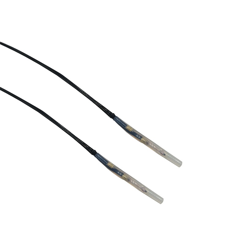 Water and oil proofing NTC thermistor for electrical machinery
